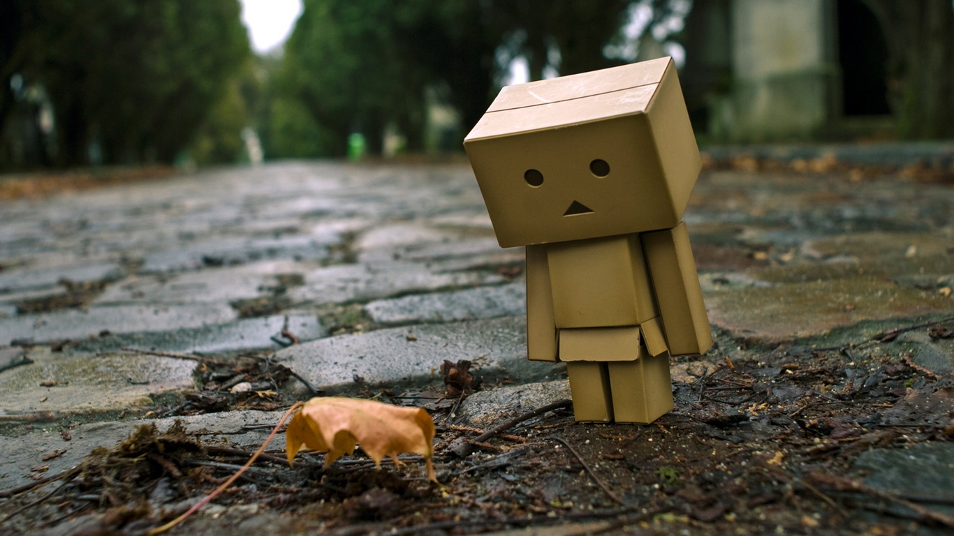 danbo danbo